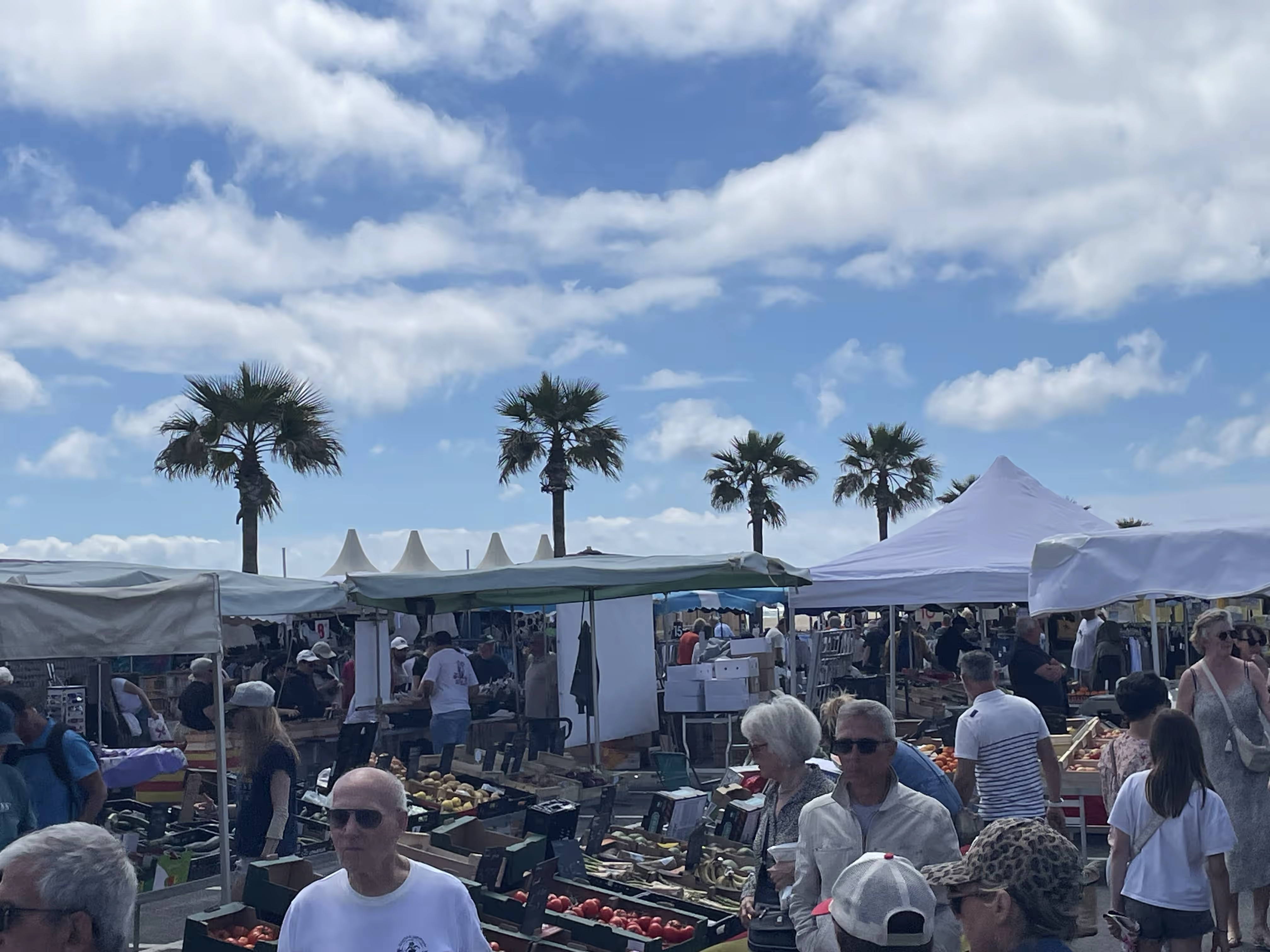 Marché Pyrénées-Orientales